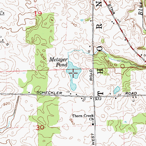 Topographic Map of Metzger Pond, IN