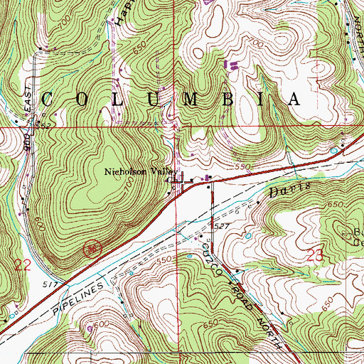 Topographic Map of Nicholson Valley Church, IN