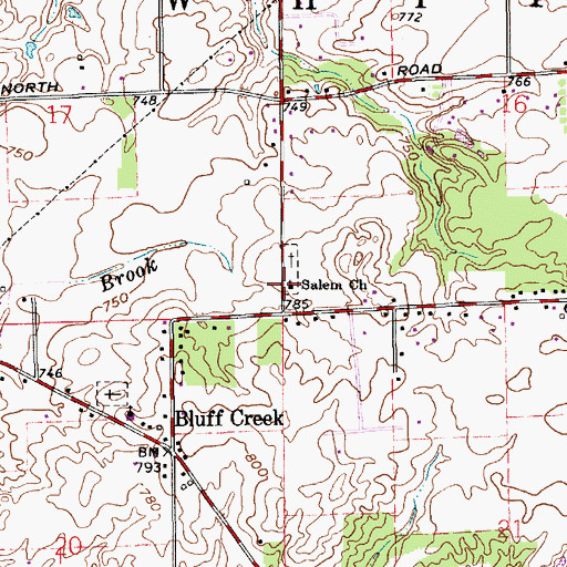 Topographic Map of Salem Church, IN