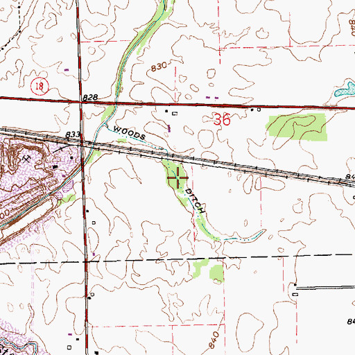 Topographic Map of Woods Ditch, IN