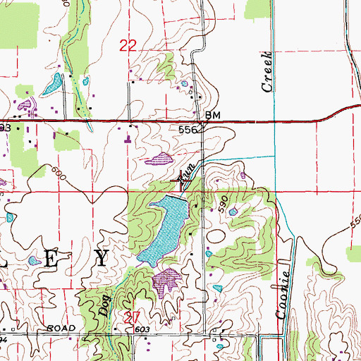 Topographic Map of Hamilton and Ridlen Lake Dam, IN