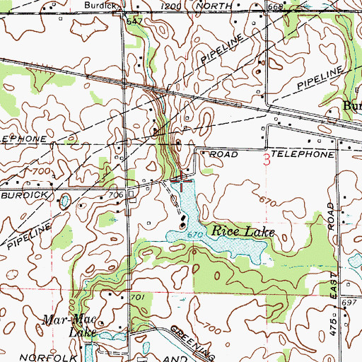 Topographic Map of Rice Lake Dam, IN