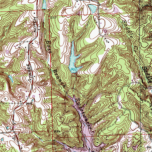 Topographic Map of Steiger Lake Dam, IN