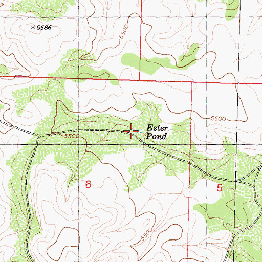 Topographic Map of Ester Pond, AZ