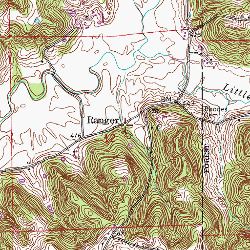 Topographic Map of Ranger, IN