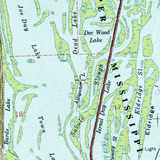 Topographic Map of Alligator Lake, IA