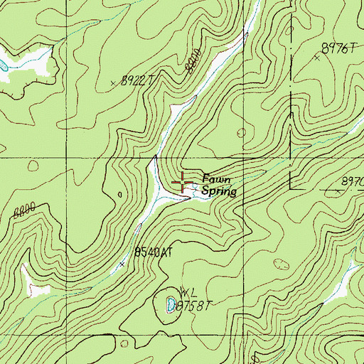 Topographic Map of Fawn Spring, AZ