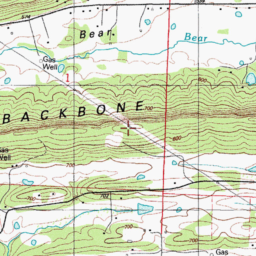 Topographic Map of Backbone Mountain, AR