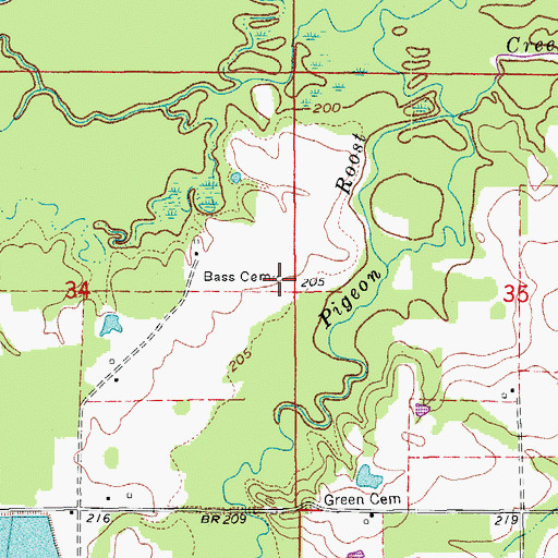 Topographic Map of Bass Cemetery, AR
