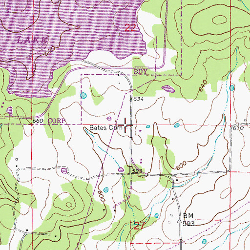 Topographic Map of Bates Cemetery, AR