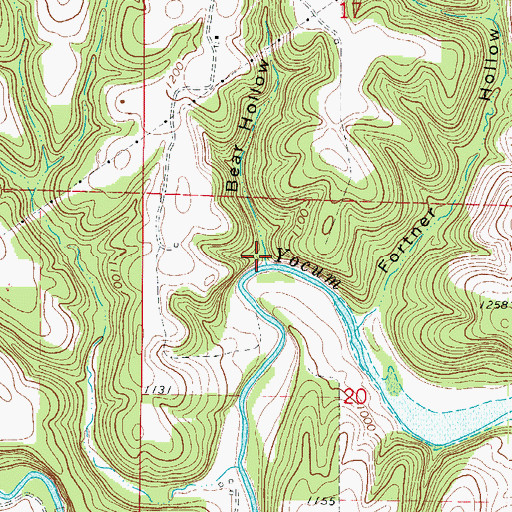 Topographic Map of Bear Hollow, AR