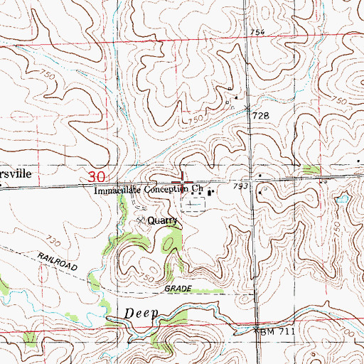Topographic Map of Petersville, IA