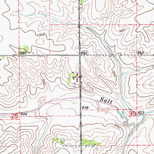 Topographic Map of Collins Grove, IA