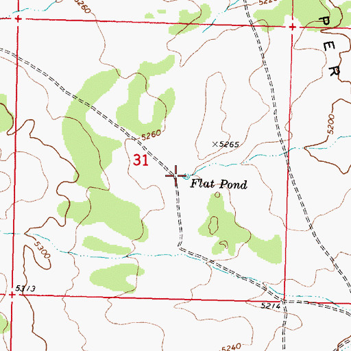 Topographic Map of Flat Pond, AZ