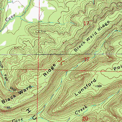 Topographic Map of Black Ward Ridge, AR