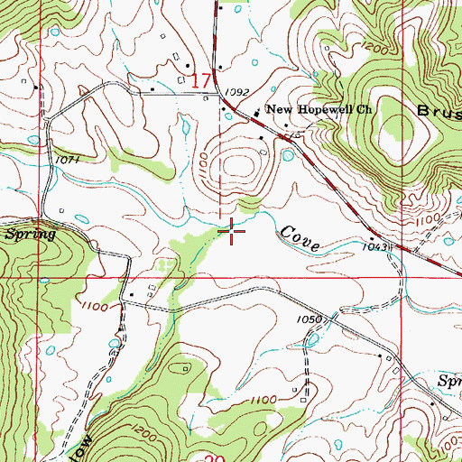 Topographic Map of Blacksnake Hollow, AR