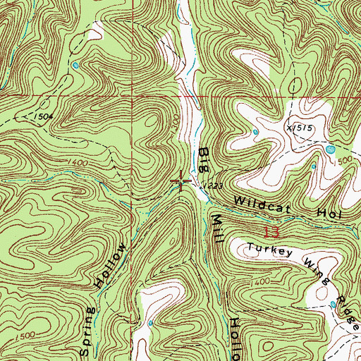 Topographic Map of Blowing Spring Hollow, AR