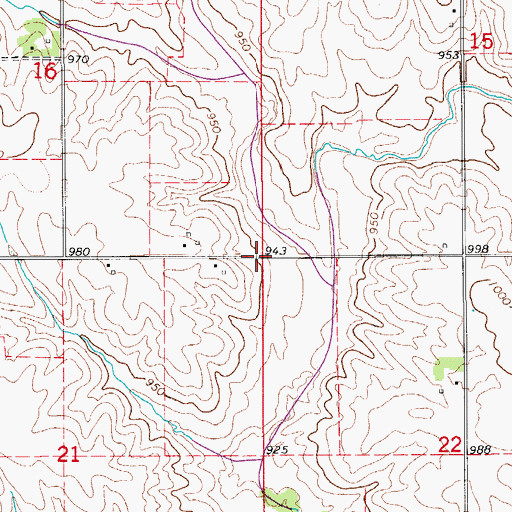 Topographic Map of Township of Liscomb, IA