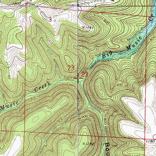 Topographic Map of Booker Hollow, AR