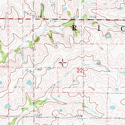 Topographic Map of Township of Rice, IA