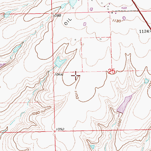 Topographic Map of McCoy Ranch, KS