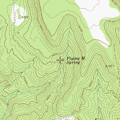 Topographic Map of Flying H Spring, AZ