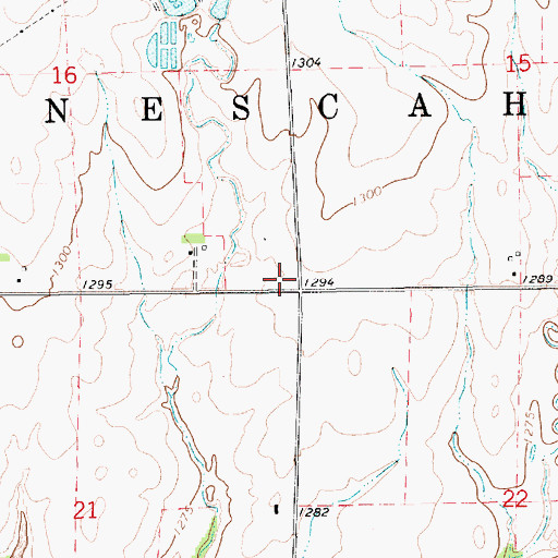 Topographic Map of Township of Ninnescah, KS