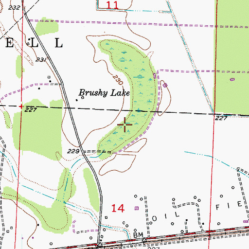 Topographic Map of Brushy Lake, AR