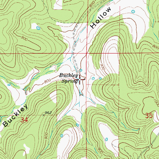 Topographic Map of Buckley Spring, AR