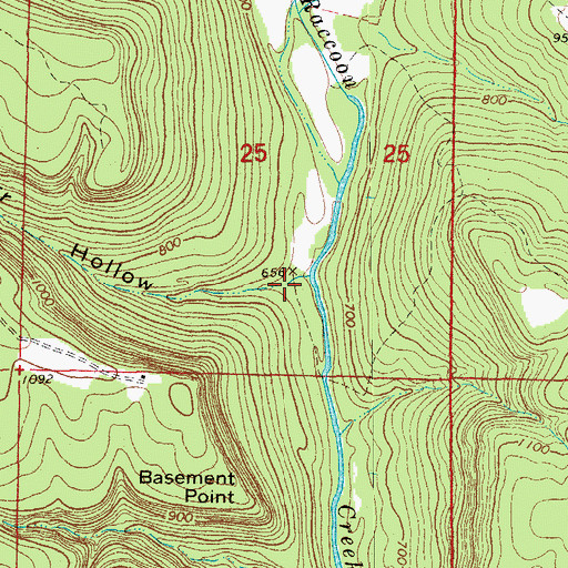 Topographic Map of Burr Hollow, AR