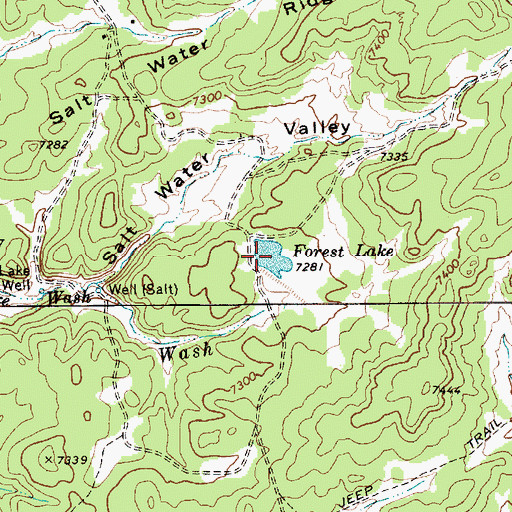 Topographic Map of Forest Lake, AZ