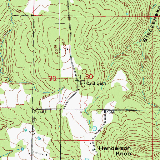 Topographic Map of Caid Cemetery, AR