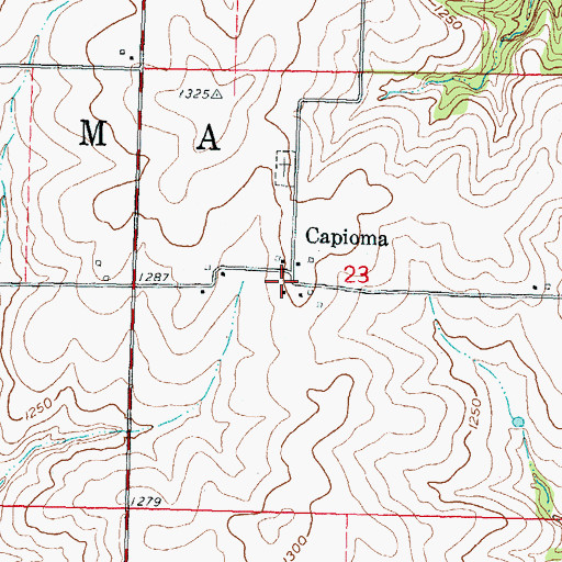 Topographic Map of Capioma, KS