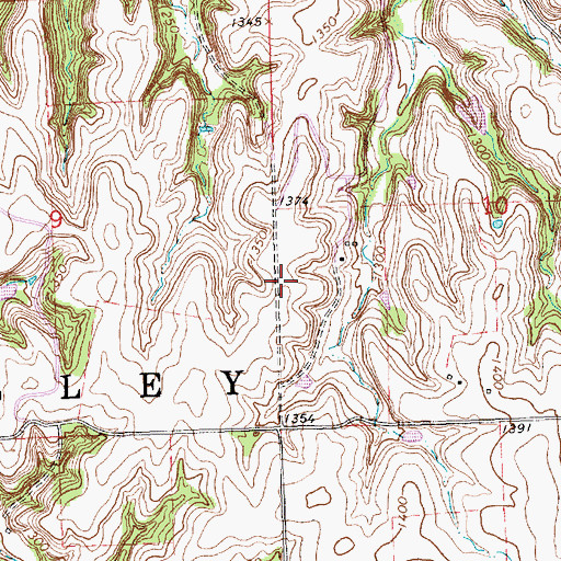 Topographic Map of Township of Blue Valley, KS