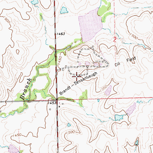 Topographic Map of Brandt-Sensenbaugh Oil Field, KS