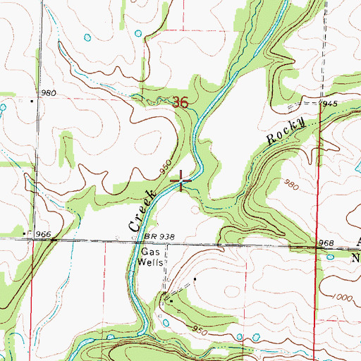 Topographic Map of Rocky Branch, KS