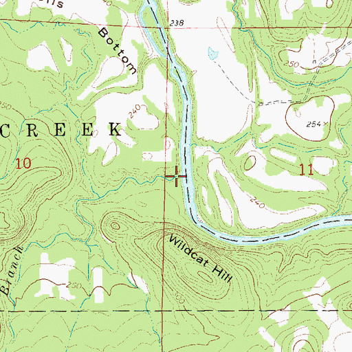 Topographic Map of Cedar Branch, AR
