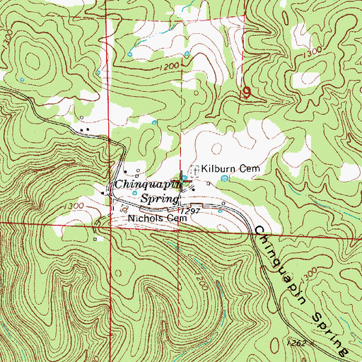 Topographic Map of Chinquapin Spring, AR