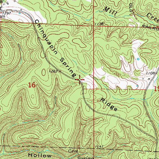 Topographic Map of Chinquapin Spring Ridge, AR