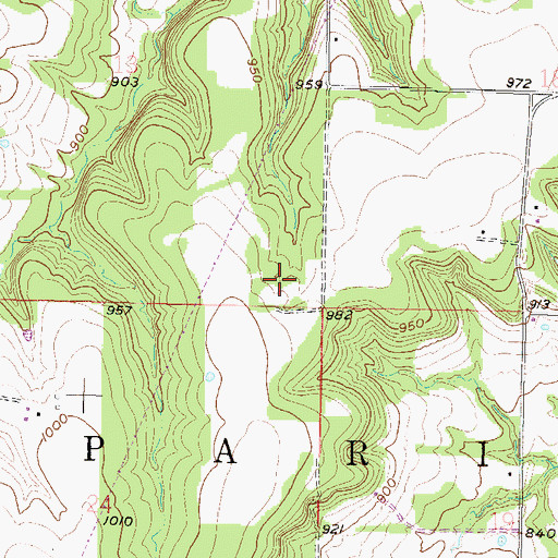 Topographic Map of Township of Paris, KS