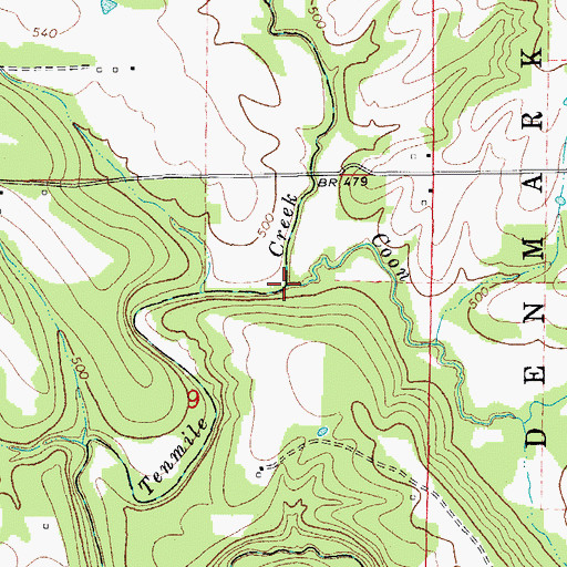 Topographic Map of Coon Creek, AR