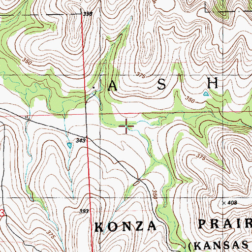 Topographic Map of South Branch Kings Creek, KS