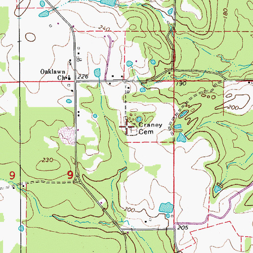 Topographic Map of Craney Cemetery, AR