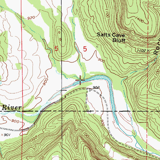 Topographic Map of Cyner Hollow, AR