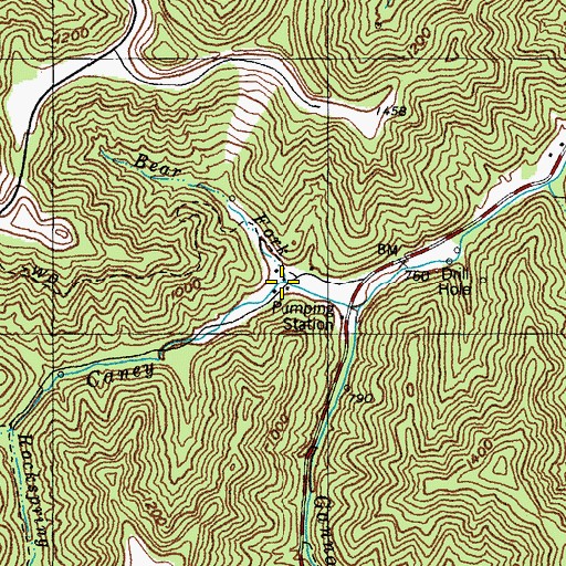 Topographic Map of Bear Fork, KY