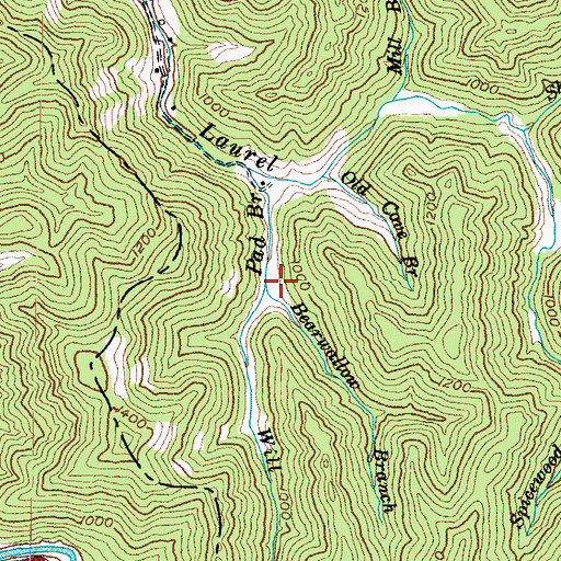 Topographic Map of Bearwallow Branch, KY