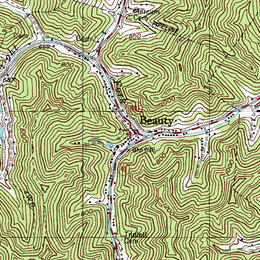 Topographic Map of Beauty, KY