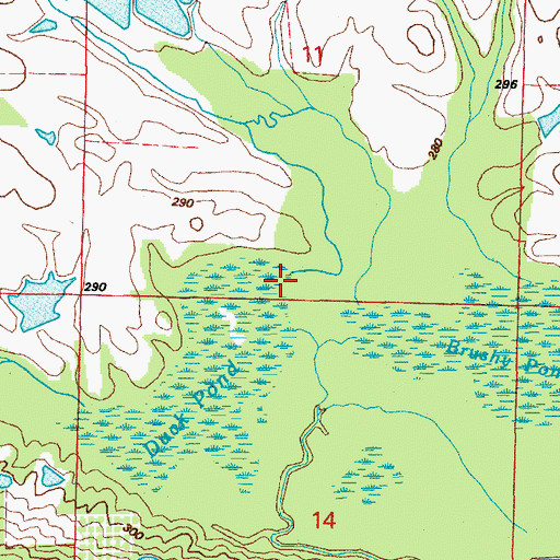 Topographic Map of Duck Pond, AR