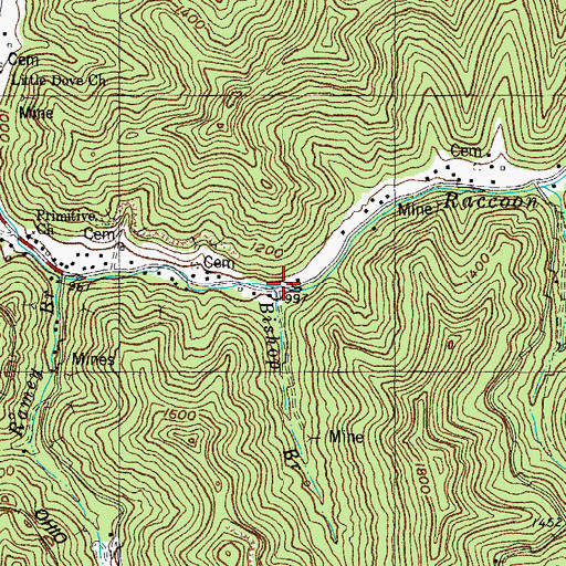Topographic Map of Bishop Branch, KY