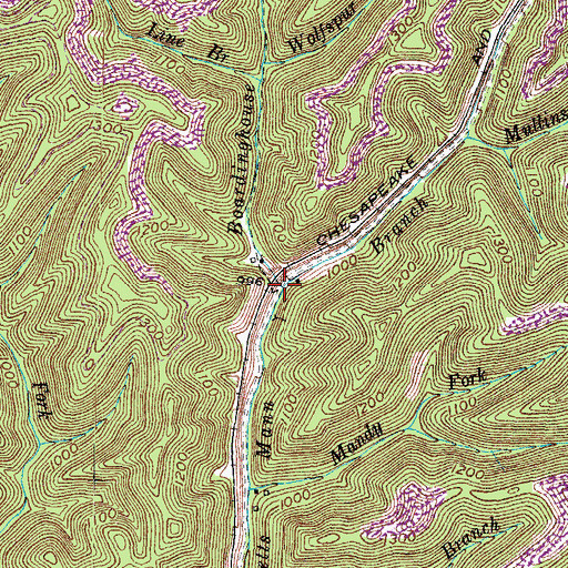 Topographic Map of Boardinghouse Branch, KY